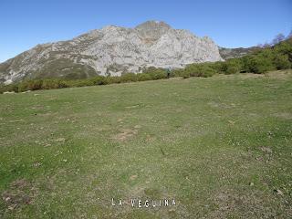 Por las camperas y mayaos del Puerto Braña