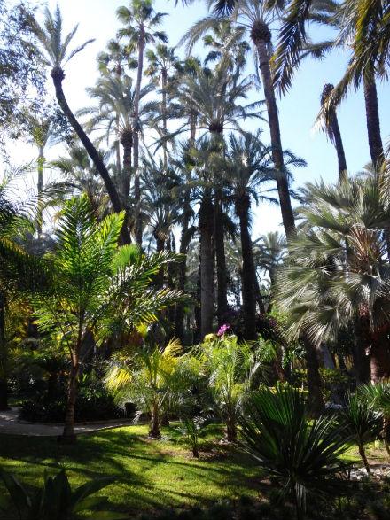 Elche, mucho más que Palmeras huerto-cura-elche-2