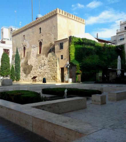 Elche, mucho más que Palmeras calahorra-elche