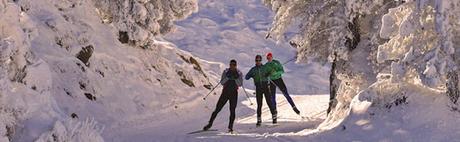 Comienza la temporada de esquí 2016/2017: estado de las estaciones españolas esqui