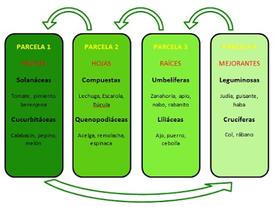 Diseño, siembra y plantación