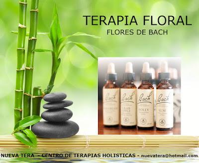 La Terapia Floral y Somatización de las Emociones