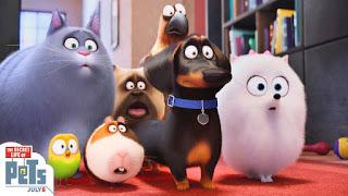 Mascotas (The secret life of pets, Yarrow Cheney & Chris Renaud, 2016. EEUU & Japón)