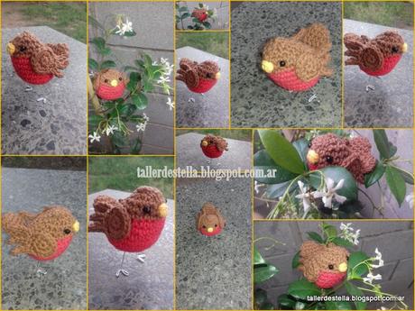 Historia de un Petirrojo Historia de un Petirrojo