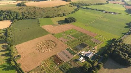 EL CROP CIRCLE DE ANSTY