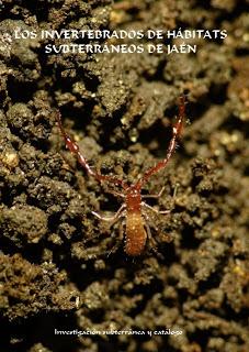 Los invertebrados de hábitats subterráneos de Jaén Los invertebrados de hábitats subterráneos de Jaén