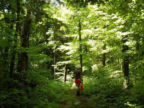 Ruta en canoa por el Algonquin Provincial Park: Pen Lake – zona pantanosa – portage – Welcome Lake