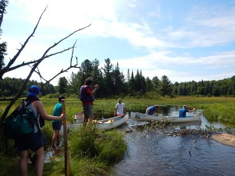 Ruta en canoa por el Algonquin Provincial Park: Pen Lake – zona pantanosa – portage – Welcome Lake