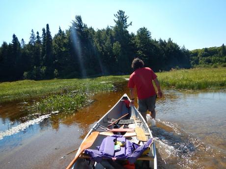 Ruta en canoa por el Algonquin Provincial Park: Pen Lake – zona pantanosa – portage – Welcome Lake