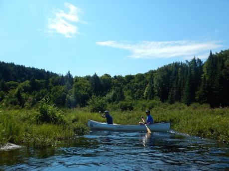 Ruta en canoa por el Algonquin Provincial Park: Pen Lake – zona pantanosa – portage – Welcome Lake