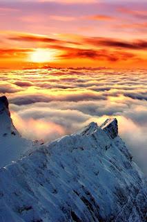 HAS VUELTO... HAS VUELTO...