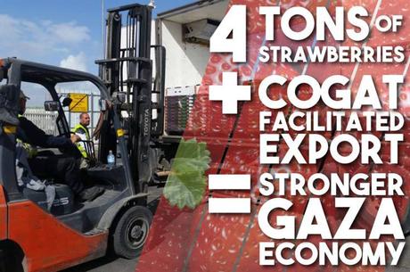 Generosidad israel fresas.jpg