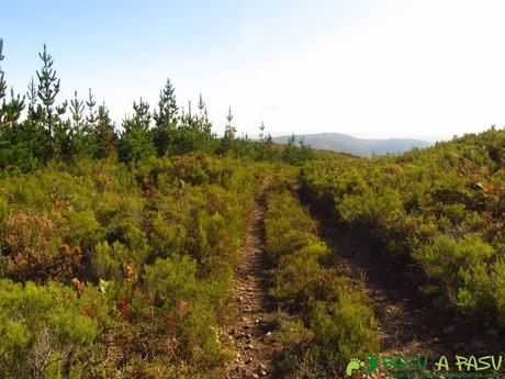 Ruta al Pico SANTA ANA (801 m.) desde CORIAS Salida del pico Santa Ana a el Puelo