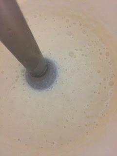 ROLLITO DE FILO RELLENO DE PATO, GORGONZOLA Y SALSA DE PERAS ROLLITO DE FILO RELLENO DE PATO, GORGONZOLA Y SALSA DE PERAS