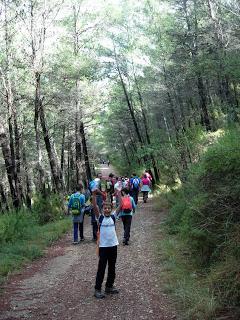 Sendero de La Bojera