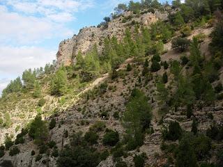 Sendero de La Bojera Sendero de La Bojera