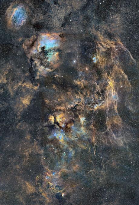 ✨Cygns en 3D por JP Metsävainio ✨Cygns en 3D por JP Metsävainio