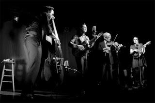 Jack White - The Rose With The Broken Neck (Live) (2015) Jack White - The Rose With The Broken Neck (Live) (2015)