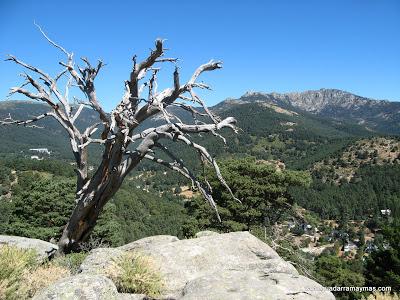 Caminos Puricelli y de los Campamentos, Cercedilla 18-9-16