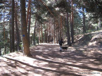 Caminos Puricelli y de los Campamentos, Cercedilla 18-9-16