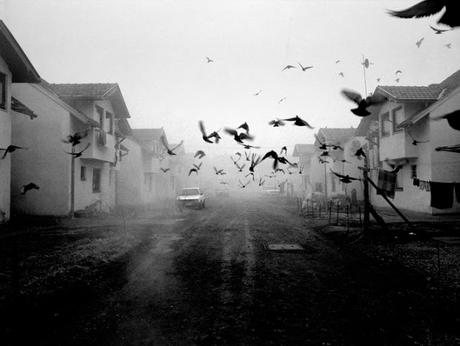 Algunas cuestiones de objetivos Algunas cuestiones de objetivos