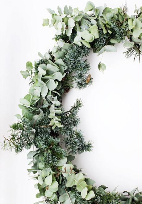 Ramas de pino y Eucalipto para decorar en Navidad ¿Te animas?