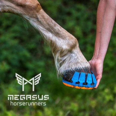 megasus-horserunners3