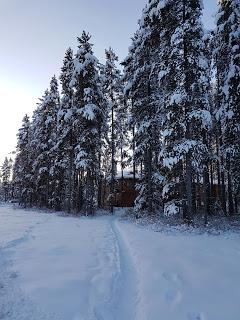 LLEGAMOS A LAKE LOUISE LLEGAMOS A LAKE LOUISE