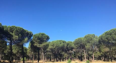 Es necesario que las empresas se inicien en la gestión de la biodiversidad