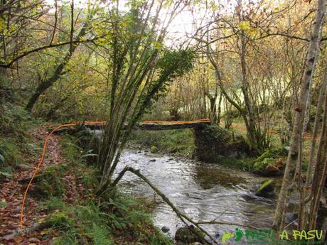 Ruta al TORRE y NIAÑU desde LA MATOSA Puente sobre el río Color