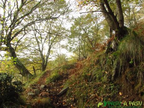 Ruta al TORRE y NIAÑU desde LA MATOSA Sendero al Collado La Espina