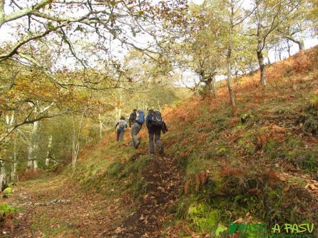 Ruta al TORRE y NIAÑU desde LA MATOSA Sendero final al Collado la Espina