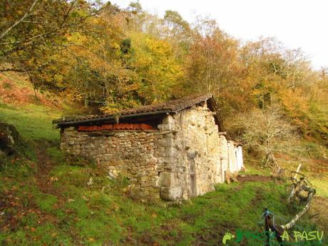 Ruta al TORRE y NIAÑU desde LA MATOSA Llosa El Monte, Piloña