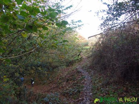 Ruta al TORRE y NIAÑU desde LA MATOSA Bajando al Río Color desde Ordiales