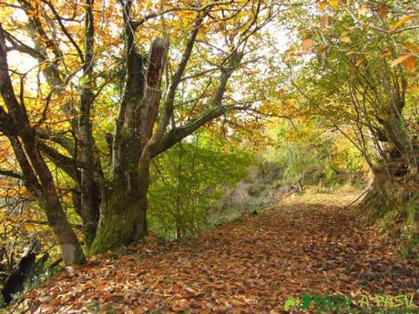 Ruta al TORRE y NIAÑU desde LA MATOSA De la LLosa el Monte al Collado de la Espina