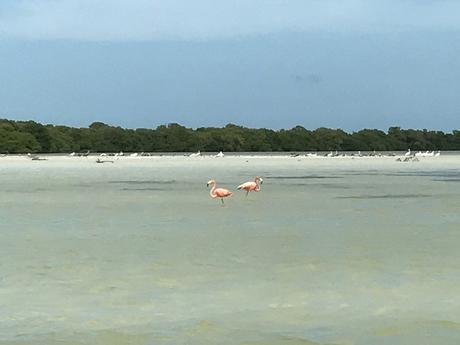 Fabtravels: Holbox