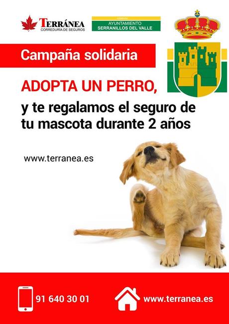 serranillos solidario