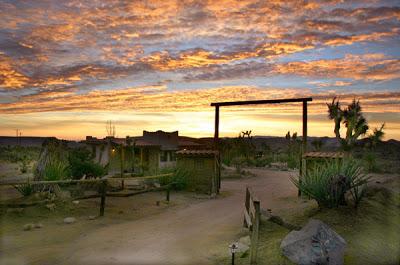 Reseña: La química, Stephenie Meyer Reseña: La química, Stephenie Meyer