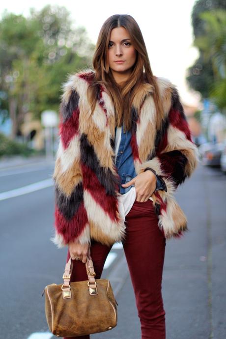 The Perfect Coat The Perfect Coat