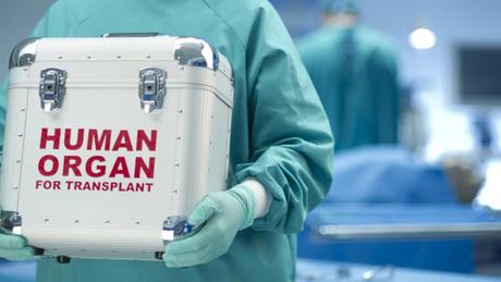 15 Datos CURIOSOS que NO conocías y te harán un poco más sabio ¡La #3 es una locura! a