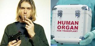 15 Datos CURIOSOS que NO conocías y te harán un poco más sabio ¡La #3 es una locura! 15 Datos CURIOSOS que NO conocías y te harán un poco más sabio ¡La #3 es una locura!