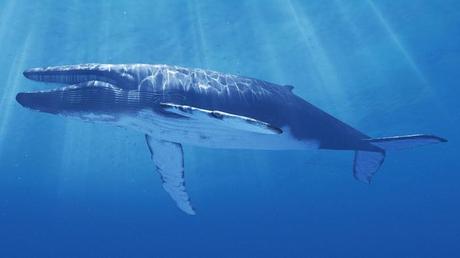 15 Datos CURIOSOS que NO conocías y te harán un poco más sabio ¡La #3 es una locura! m