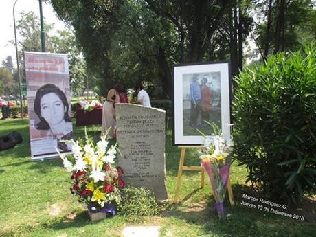 Una mujer embarazada en los cuarteles de la DINA. Reinalda La imagen puede contener: 1 persona, planta, árbol, flor, exterior y naturaleza