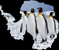 Ceremonia del 57 Aniversario de la Firma del Tratado Antártico