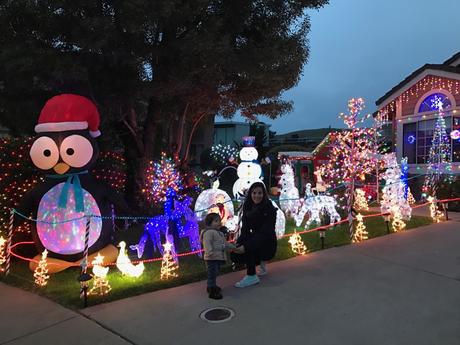 Christmas Lit Houses