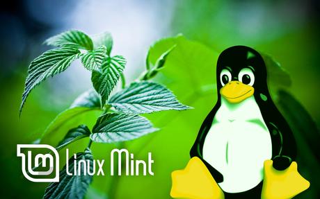 Ya disponible Linux Mint 18.1 'Serena'