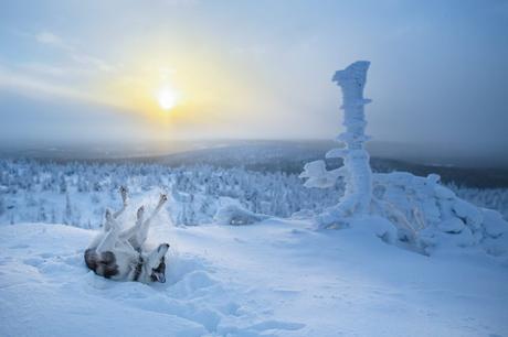 15 razones por las que Laponia es el lugar más bello para celebrar la Navidad ¡Es mágico!