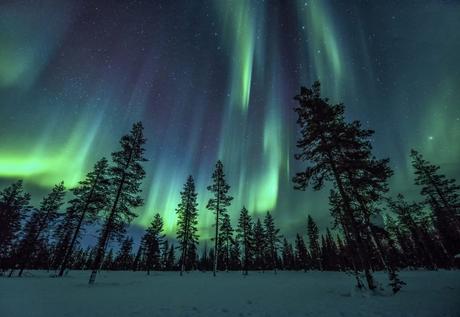 15 razones por las que Laponia es el lugar más bello para celebrar la Navidad ¡Es mágico!