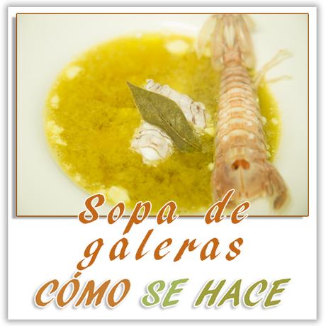 SOPA CASERA DE GALERAS