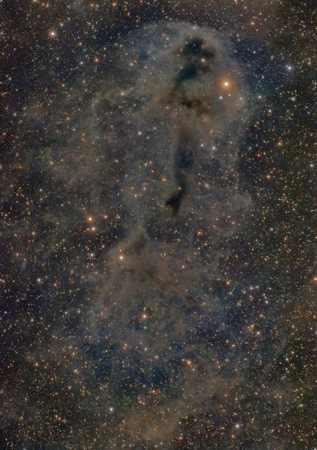 ✨La nebulosa oscura Lynd